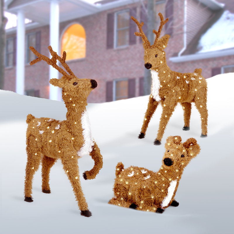 The Holiday Aisle Standing Reindeer Christmas Decoration with 150 Clear